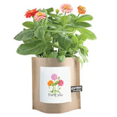 Garden in a Bag - Thank You Zinnias